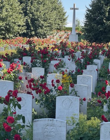 Reihen von Grabsteinen, dazwischen rote Rosen, Hochkreuz im Hintergrund